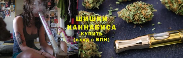 ГАЛЛЮЦИНОГЕННЫЕ ГРИБЫ Балахна