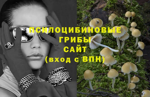 дурь Арсеньев